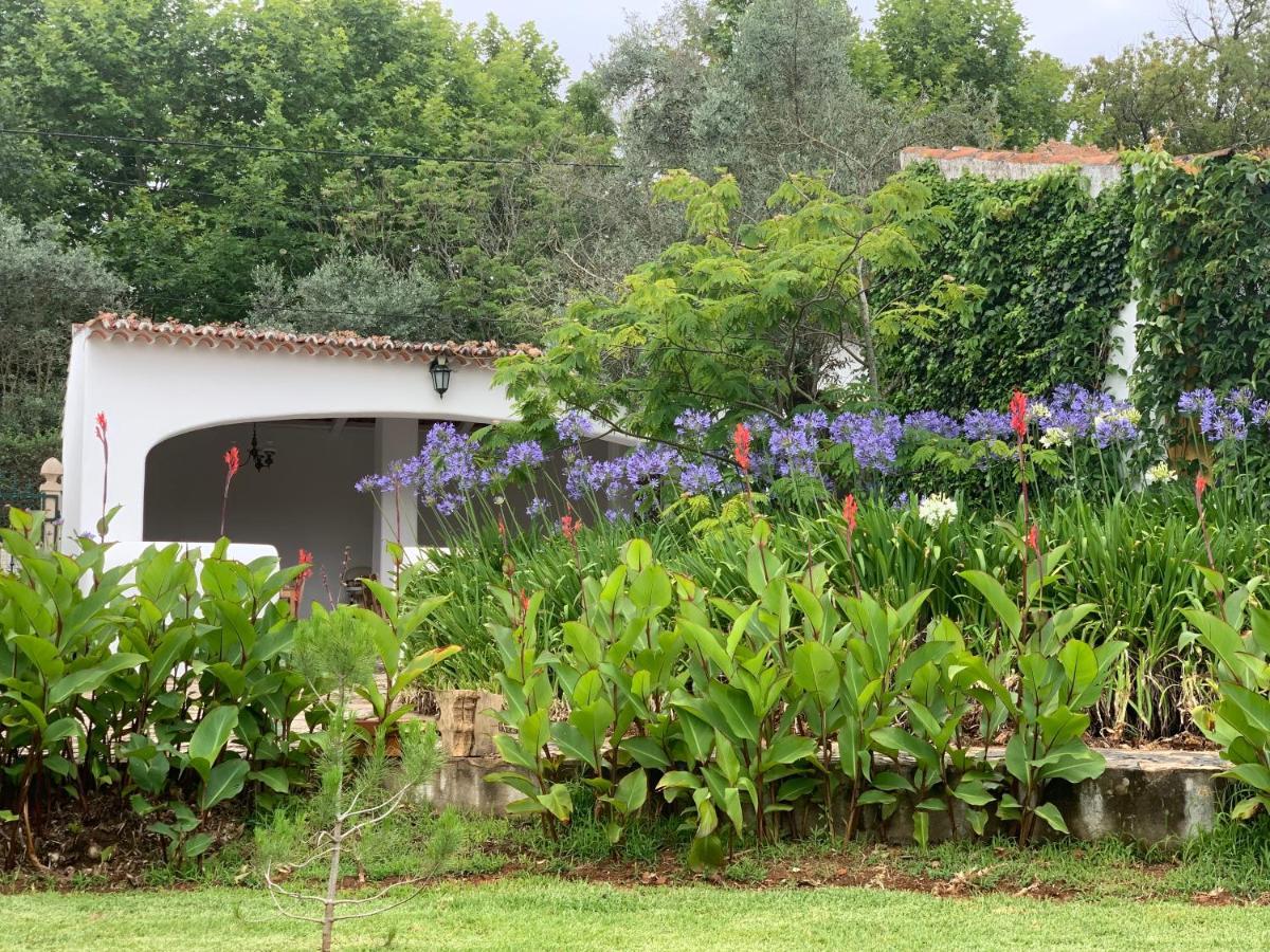 Quinta Dos Girassois Fz Apartment Ferreira do Zêzere Екстериор снимка