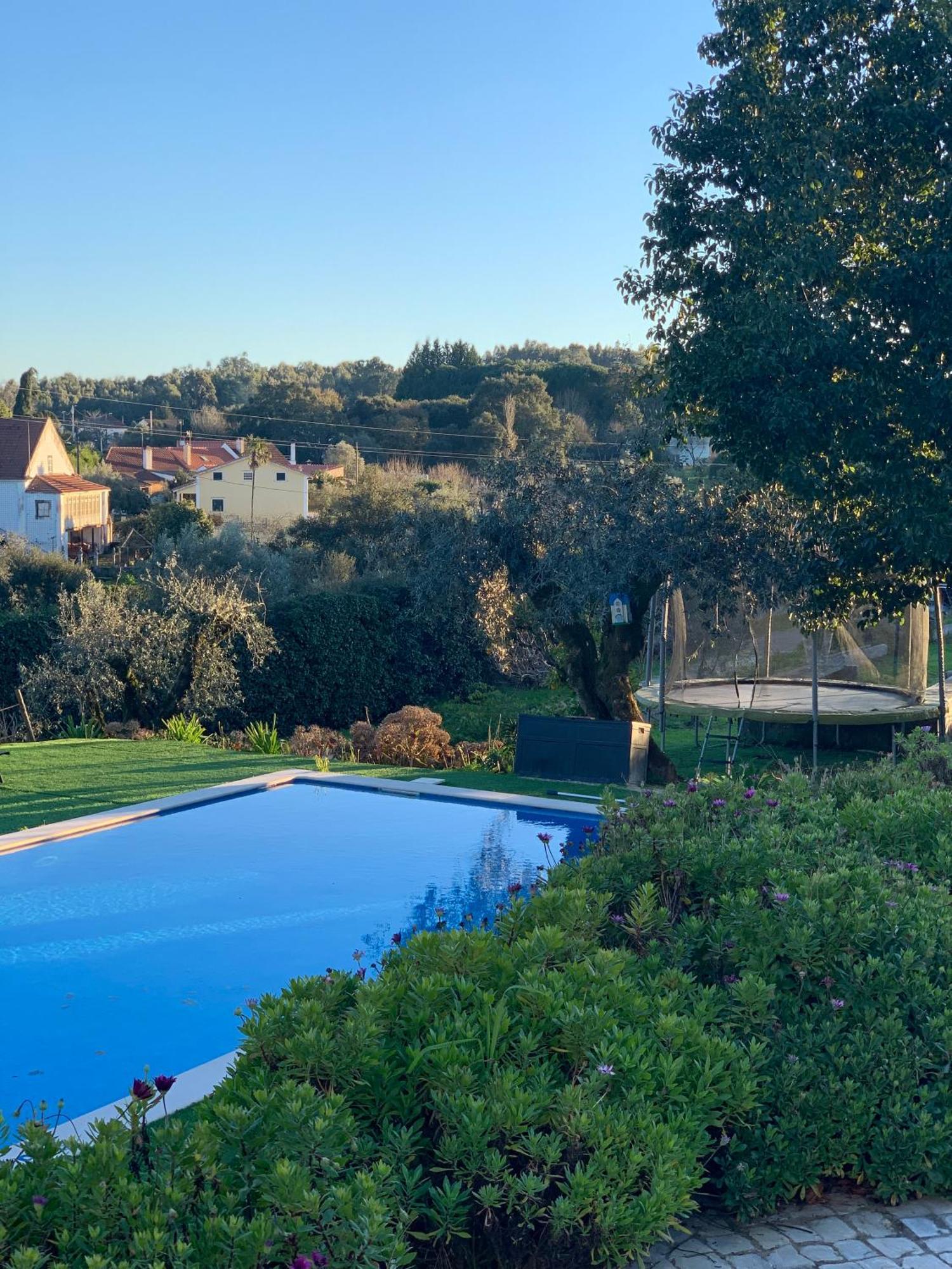 Quinta Dos Girassois Fz Apartment Ferreira do Zêzere Екстериор снимка