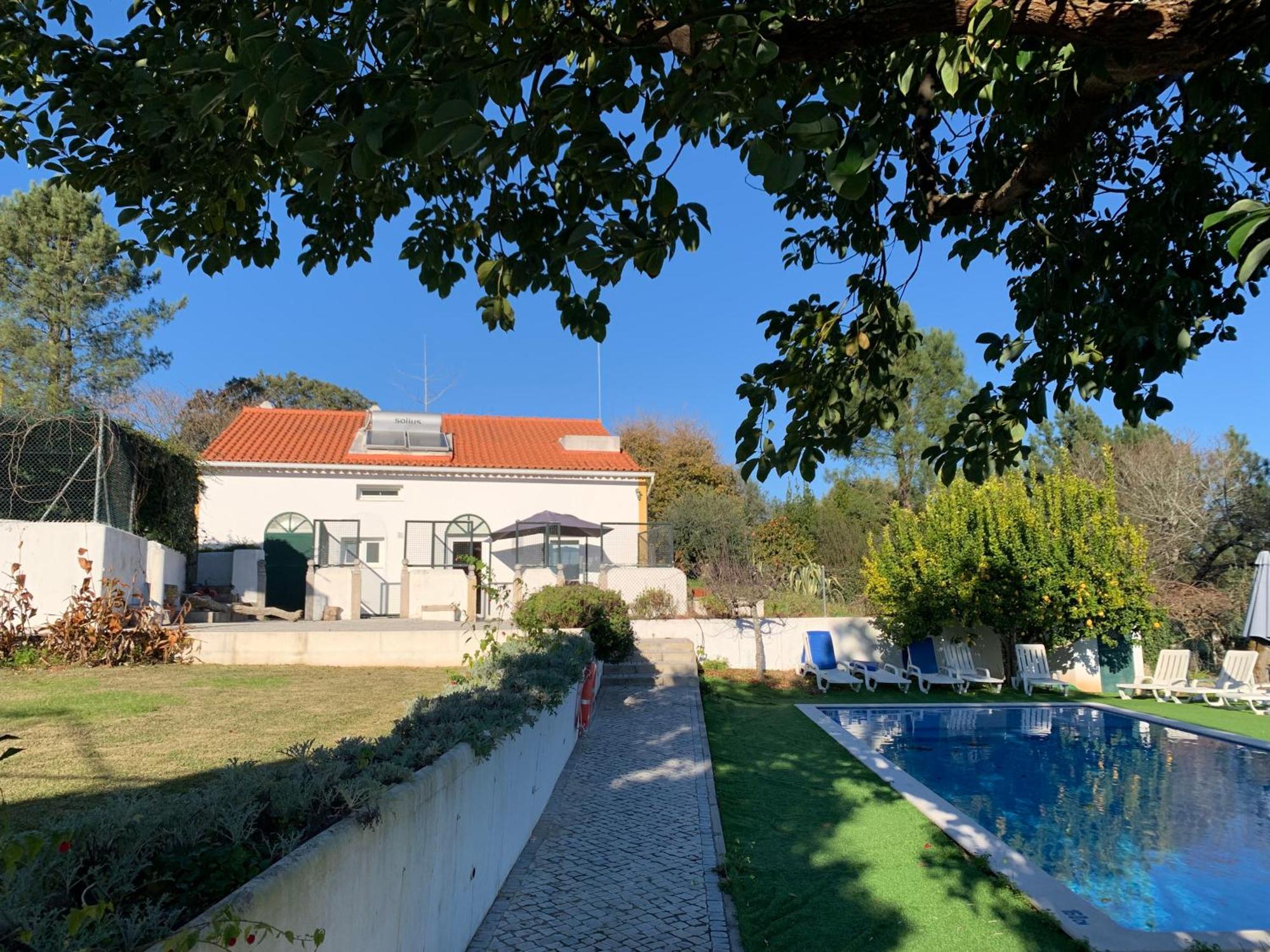 Quinta Dos Girassois Fz Apartment Ferreira do Zêzere Стая снимка